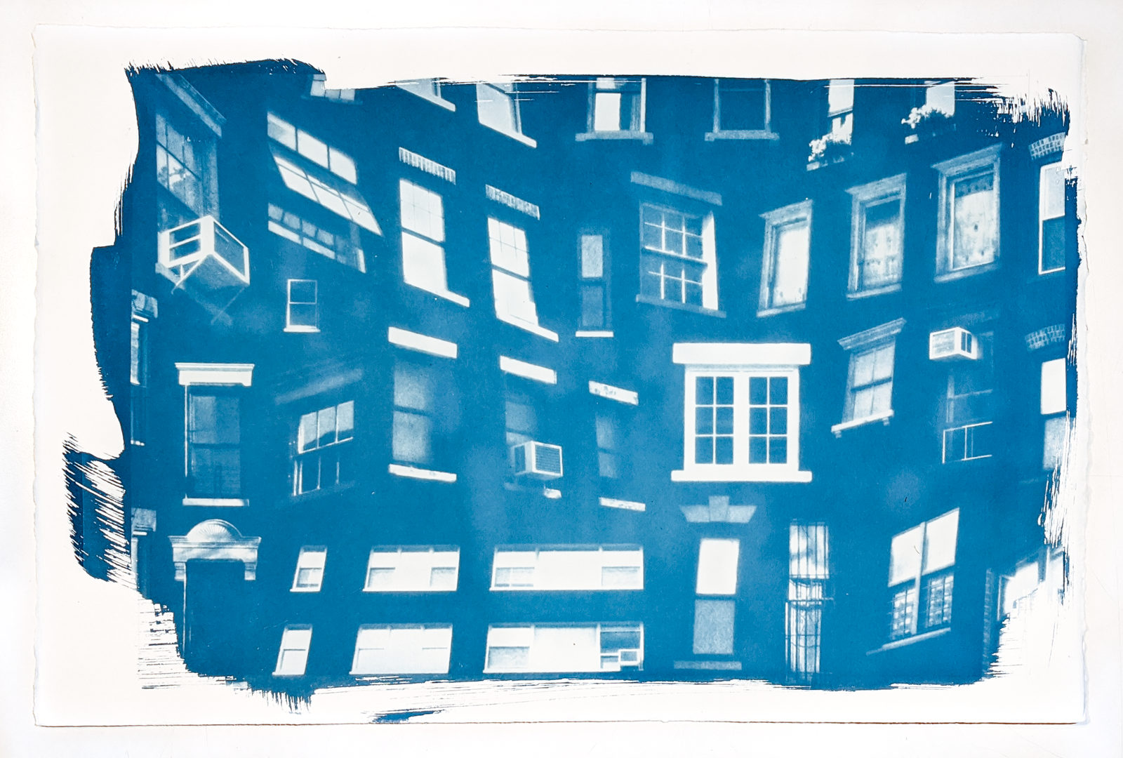 Cyanotype from AMO